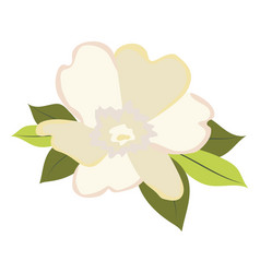 Abstract White Peony Head In Flat Design Wedding