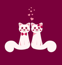 A Couple Of Two White Cats In Love On Maroon