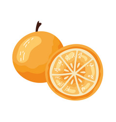 Fresh Orange Slice