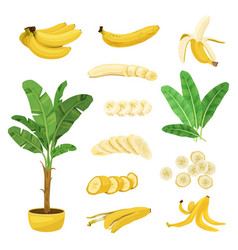 Banana Flat Icons Collection