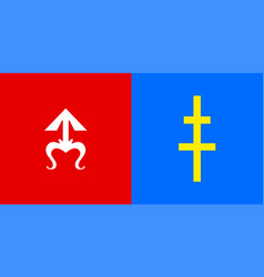 Flag Of Skarzhi District