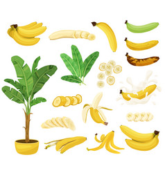 Banana Flat Icon Set