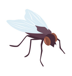 Isometric Fly Icon