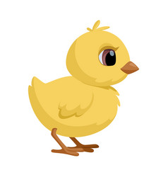 Cute Standing Chick Little Cartoon Chicken