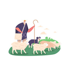 Shepherd Male Character And Dog Herding Sheep