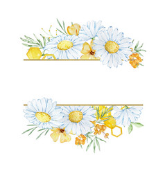 Frame Banner With Watercolor Chamomile