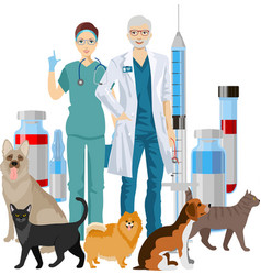 Pet Veterinarian Veterinary Doctor Checking