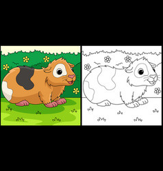 Guinea Pig Animal Coloring Page