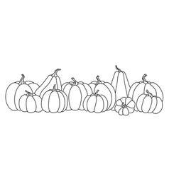 Hand Drawn Row Of A Pumpkins