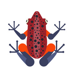 Tropical Poison Geometric Frog In Flat Design