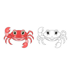 Crab Line And Color