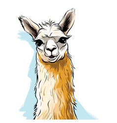 Llama Hand-drawn Doodle Style Cartoon