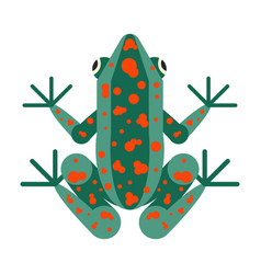 Tropical Poison Geometric Frog In Flat Design