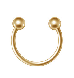 Golden Piercing Jewelry 3d Gold Pierce Nose Ring