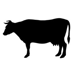 A Black Silhouette Cow