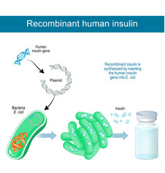 Recombinant Dna Technology