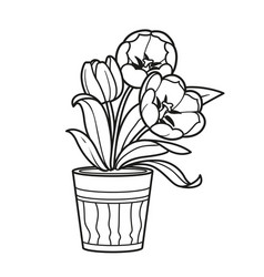 Three Tulips Flowers In Pot Coloring Book Linear