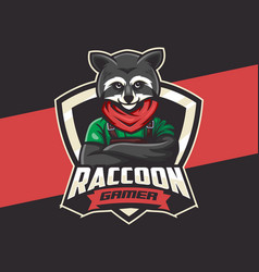 Raccoon Gamer Character Mascot E-sport Logo Design