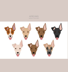 Africanis Clipart Different Poses Coat Colors Set