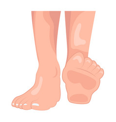 Weba Flat Style Icon Of Lady Feet