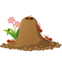 Cartoon ants colony and ant hill Royalty Free Vector Image