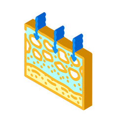 Soil Permeability Hydrogeologist Isometric Icon