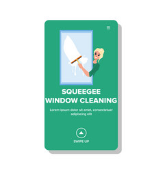 Wash Squeegee Window Cleaning