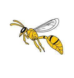 Wasp Vector Images (over 10,000)