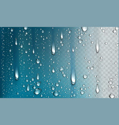 Realistic water rain drops on nature background Vector Image