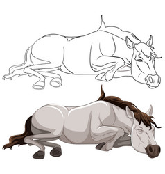 Graphic Of A Horse Lying Down Resting