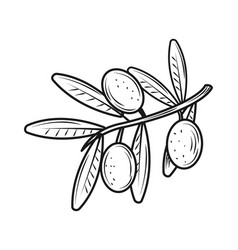 Olive Branch Leaf