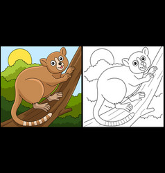 Mouse Lemur Animal Coloring Page