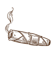 Cigar Smoking Natural Tobacco Isolated Sketch