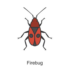 Insect Firefly Iconcolor Icon Isolated