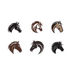 Horse Head Logo Template Icon Design Collection