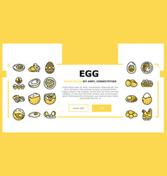 Egg Chicken Farm Food Organic Landing Header