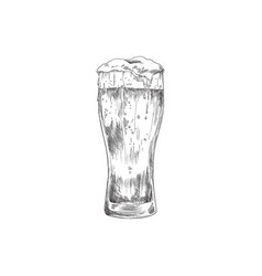 Tall Glass Of Frothing Beer Vintage Engraving