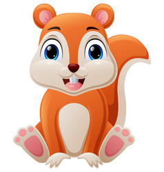 Cute Little Squirrel Cartoon Sitting