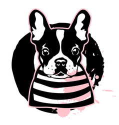 French Bulldog Cute Black And White Dog