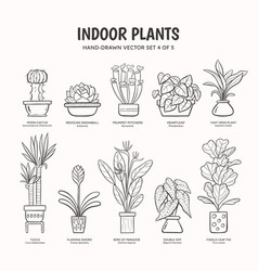 Indoor Plants - Lineart Set 4 Of 5