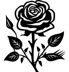 Roses - Black And White