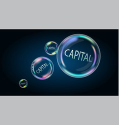 Capital In The Soap Bubble Accumulation System