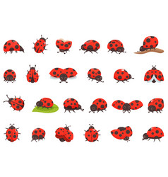 Ladybug Icons Set Cartoon Bug Insect