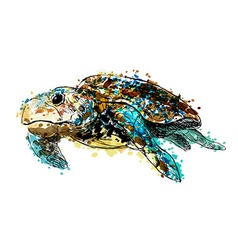 Colored Hand Drawing Caretta