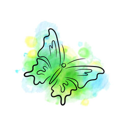 Sketch Green Blue Butterfly Ink Watercolor