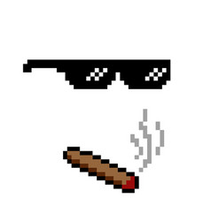 Boss Or Gangster Pixelated Sunglasses