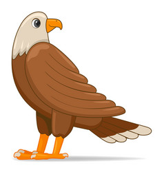 Cute eagle cartoon Royalty Free Vector Image - VectorStock