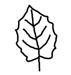 Outline Maple Leaf