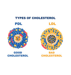 Cholesterol Types Set