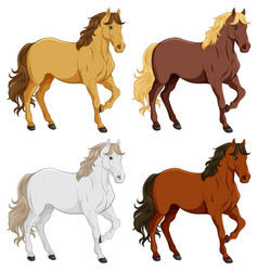 Set Of Horse Cartoon